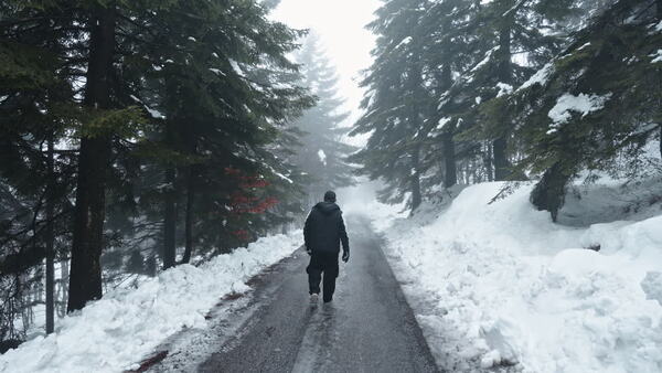 Person walking along a forest path surrounded by tall trees and soft light